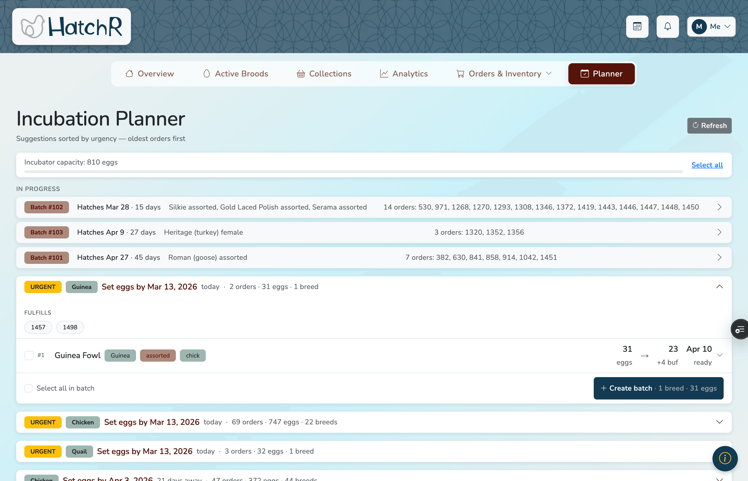 HatchR incubation planner showing breed suggestions with calculated set dates
